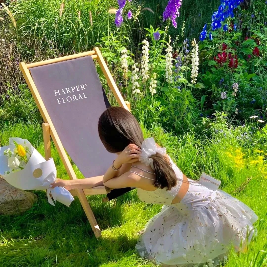 代妹和亲后驸马急疯了